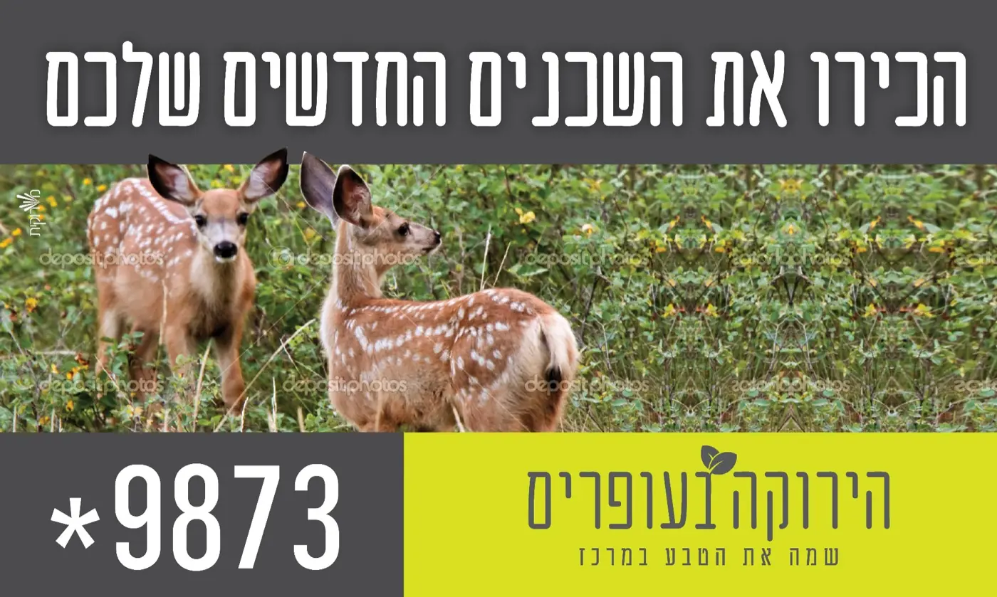 HaYeruka in Ofarim, Mateh Binyamin